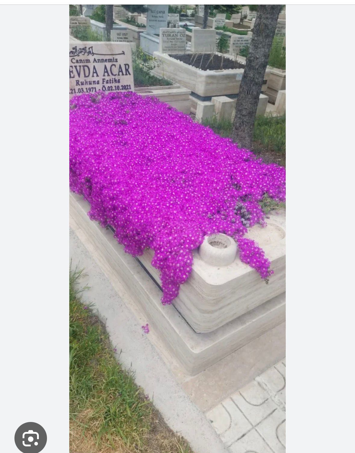 Profesyonel mezar bakım