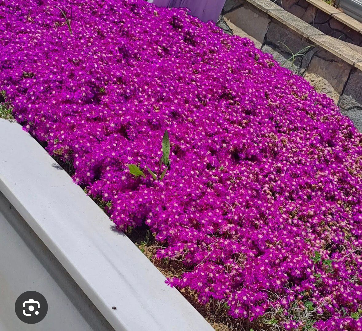 Mezar restorasyon hizmeti