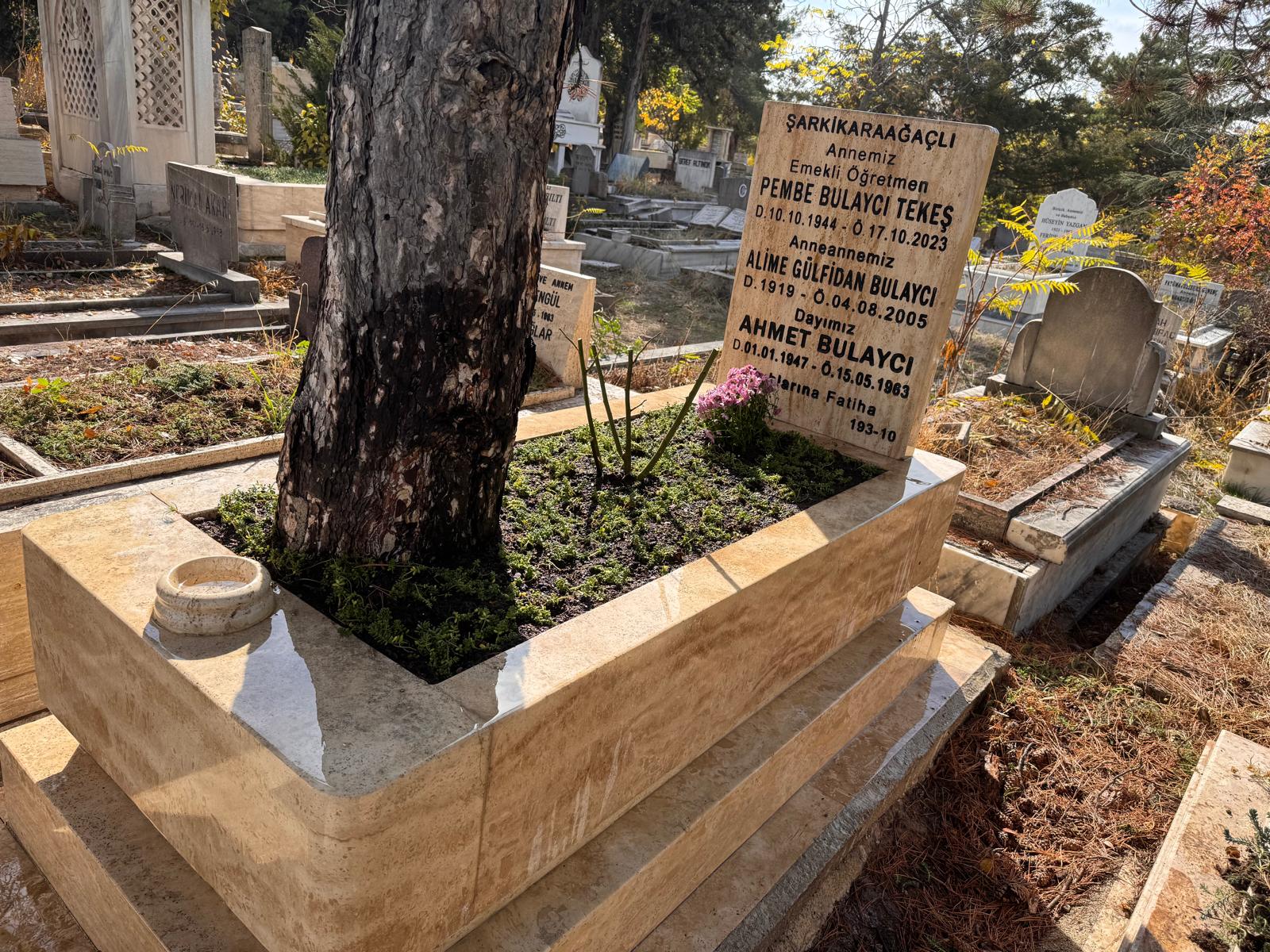 Çiçek düzenlemesi ve bakım