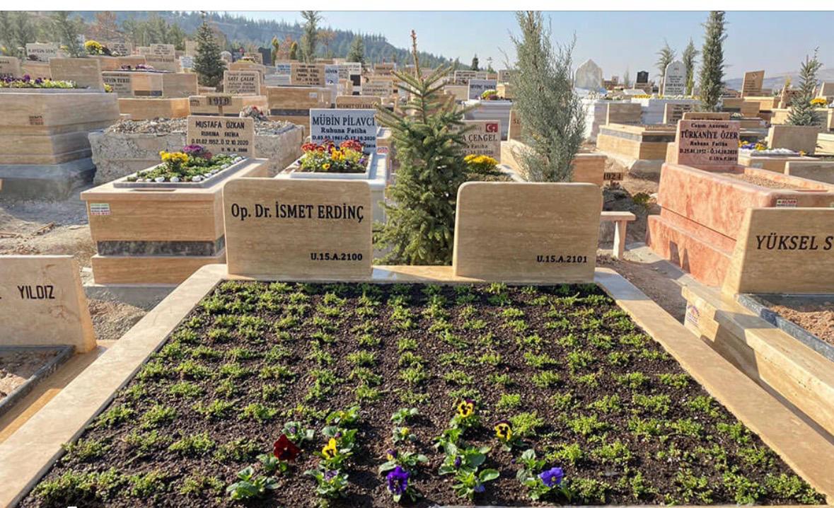 Profesyonel peyzaj çalışması